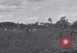 Image of US Navy fleet readiness exercises in the Pacific theater Pacific Ocean, 1925, second 57 stock footage video 65675040706