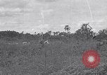 Image of US Navy fleet readiness exercises in the Pacific theater Pacific Ocean, 1925, second 58 stock footage video 65675040706
