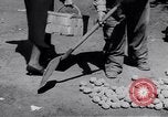 Image of Great depression soup kitchen United States USA, 1932, second 26 stock footage video 65675040711