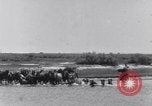 Image of Horse buyers Chincoteague Island Virginia USA, 1931, second 13 stock footage video 65675040715