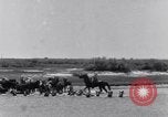 Image of Horse buyers Chincoteague Island Virginia USA, 1931, second 16 stock footage video 65675040715