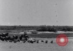 Image of Horse buyers Chincoteague Island Virginia USA, 1931, second 18 stock footage video 65675040715