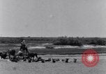 Image of Horse buyers Chincoteague Island Virginia USA, 1931, second 19 stock footage video 65675040715