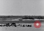 Image of Horse buyers Chincoteague Island Virginia USA, 1931, second 21 stock footage video 65675040715