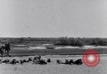 Image of Horse buyers Chincoteague Island Virginia USA, 1931, second 23 stock footage video 65675040715