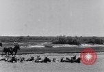Image of Horse buyers Chincoteague Island Virginia USA, 1931, second 24 stock footage video 65675040715