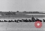 Image of Horse buyers Chincoteague Island Virginia USA, 1931, second 26 stock footage video 65675040715