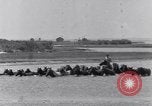 Image of Horse buyers Chincoteague Island Virginia USA, 1931, second 27 stock footage video 65675040715