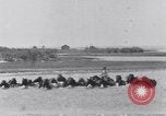 Image of Horse buyers Chincoteague Island Virginia USA, 1931, second 28 stock footage video 65675040715
