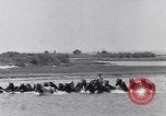 Image of Horse buyers Chincoteague Island Virginia USA, 1931, second 29 stock footage video 65675040715