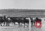 Image of Horse buyers Chincoteague Island Virginia USA, 1931, second 34 stock footage video 65675040715