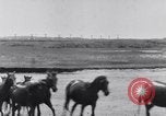 Image of Horse buyers Chincoteague Island Virginia USA, 1931, second 39 stock footage video 65675040715