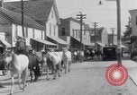Image of Horse buyers Chincoteague Island Virginia USA, 1931, second 41 stock footage video 65675040715