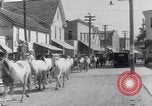 Image of Horse buyers Chincoteague Island Virginia USA, 1931, second 42 stock footage video 65675040715