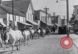 Image of Horse buyers Chincoteague Island Virginia USA, 1931, second 43 stock footage video 65675040715