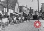 Image of Horse buyers Chincoteague Island Virginia USA, 1931, second 44 stock footage video 65675040715