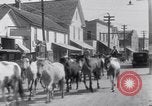Image of Horse buyers Chincoteague Island Virginia USA, 1931, second 46 stock footage video 65675040715