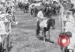 Image of Horse buyers Chincoteague Island Virginia USA, 1931, second 53 stock footage video 65675040715
