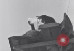 Image of Pole-sitting Seattle Washington USA, 1931, second 36 stock footage video 65675040720
