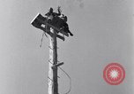Image of Pole-sitting Seattle Washington USA, 1931, second 47 stock footage video 65675040720