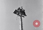 Image of Pole-sitting Seattle Washington USA, 1931, second 51 stock footage video 65675040720