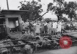 Image of Impact of flood Formosa Taiwan, 1959, second 16 stock footage video 65675040725