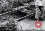 Image of Impact of flood Formosa Taiwan, 1959, second 19 stock footage video 65675040725