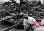 Image of Impact of flood Formosa Taiwan, 1959, second 20 stock footage video 65675040725