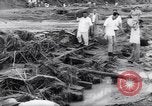 Image of Impact of flood Formosa Taiwan, 1959, second 21 stock footage video 65675040725