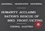 Immagine di Rondini Vienna Austria, 1931, secondo 1 filmato di repertorio 65675040738