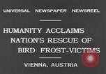 Immagine di Rondini Vienna Austria, 1931, secondo 6 filmato di repertorio 65675040738
