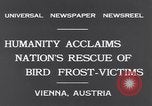 Immagine di Rondini Vienna Austria, 1931, secondo 9 filmato di repertorio 65675040738