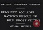 Immagine di Rondini Vienna Austria, 1931, secondo 10 filmato di repertorio 65675040738