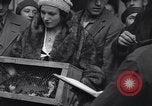 Immagine di Rondini Vienna Austria, 1931, secondo 24 filmato di repertorio 65675040738