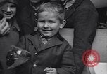 Immagine di Rondini Vienna Austria, 1931, secondo 30 filmato di repertorio 65675040738