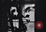 Immagine di Rondini Vienna Austria, 1931, secondo 45 filmato di repertorio 65675040738