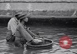 Immagine di Aree allagate La Cina di Hankou, 1931, secondo 57 filmato di repertorio 65675040740