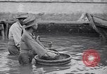 Immagine di Aree allagate La Cina di Hankou, 1931, secondo 58 filmato di repertorio 65675040740