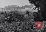 Image of Liberation of Rome Italy, 1944, second 7 stock footage video 65675040759