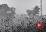 Image of Liberation of Rome Italy, 1944, second 38 stock footage video 65675040759
