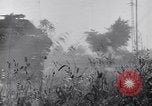 Image of Liberation of Rome Italy, 1944, second 39 stock footage video 65675040759