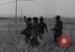 Image of Liberation of Rome Rome Italy, 1944, second 28 stock footage video 65675040760