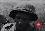 Image of Liberation of Rome Rome Italy, 1944, second 39 stock footage video 65675040760