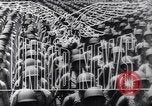 Image l'invasion de la Sicile Italie, 1943, de la seconde 14 séquences d'archives historiques vidéo 65675040765