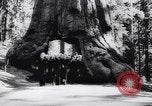 Image Parc national de Yosemite pendant la Seconde Guerre mondiale California United States USA, 1943, de la seconde 47 séquences d'archives historiques vidéo 65675040770