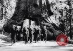 Image Parc national de Yosemite pendant la Seconde Guerre mondiale California United States USA, 1943, de la seconde 49 séquences d'archives historiques vidéo 65675040770