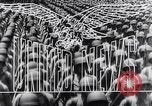 Image of Military parade Rio de Janeiro Brazil, 1943, second 14 stock footage video 65675040772