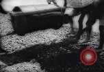 Image of Natives build World war 2 airfields in New Guinea India, 1944, second 49 stock footage video 65675040780