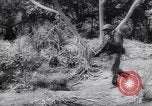 Standbild Japanses Basen Makin Insel Kiribati Inseln, 1944, aus Sekunde 39 historischem Filmmaterial Videoclip 65675040788