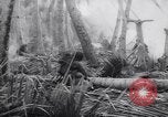 Standbild Japanses Basen Makin Insel Kiribati Inseln, 1944, aus Sekunde 42 historischem Filmmaterial Videoclip 65675040788